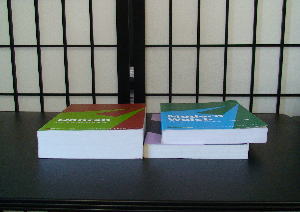 デンマーク語の語学書 入門書 参考書 Teach Yourself Danish デンマーク語の語学書 入門書 参考書 Teach Yourself Danish